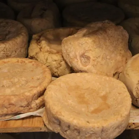 Quinta Da Cerdeira Seia