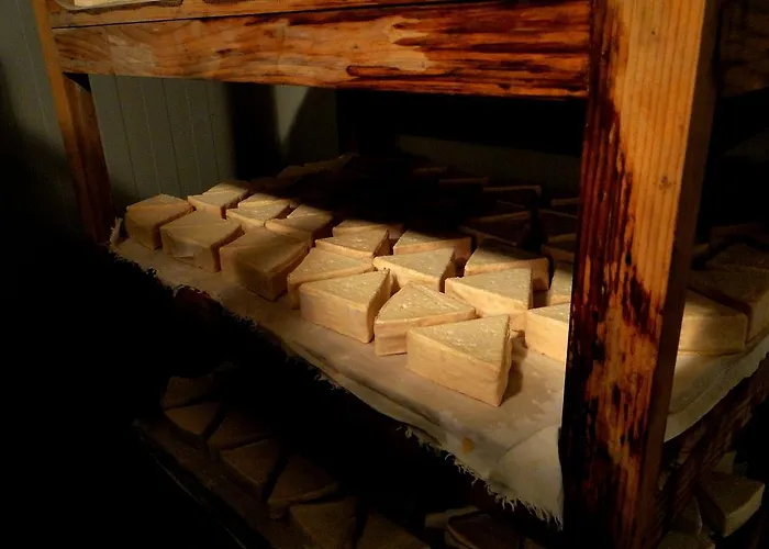 Quinta Da Cerdeira Alojamento de Turismo Rural Seia