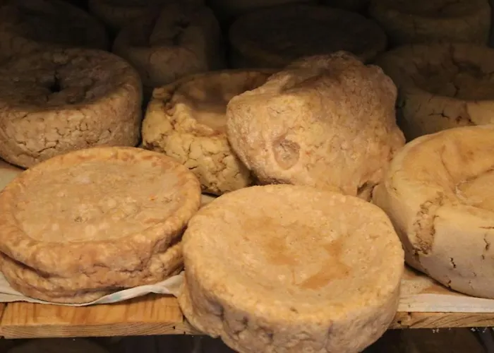 Quinta Da Cerdeira Seia