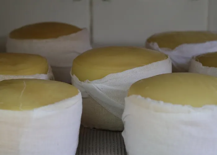 Quinta Da Cerdeira Alojamento de Turismo Rural *